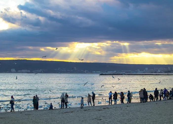 Sunrise Golden Sands